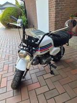 Honda Monkey Z50 Gorilla - MONKEY 50