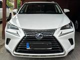 Lexus NX 300 300h - Launch Edition - Lexus NX 300: H