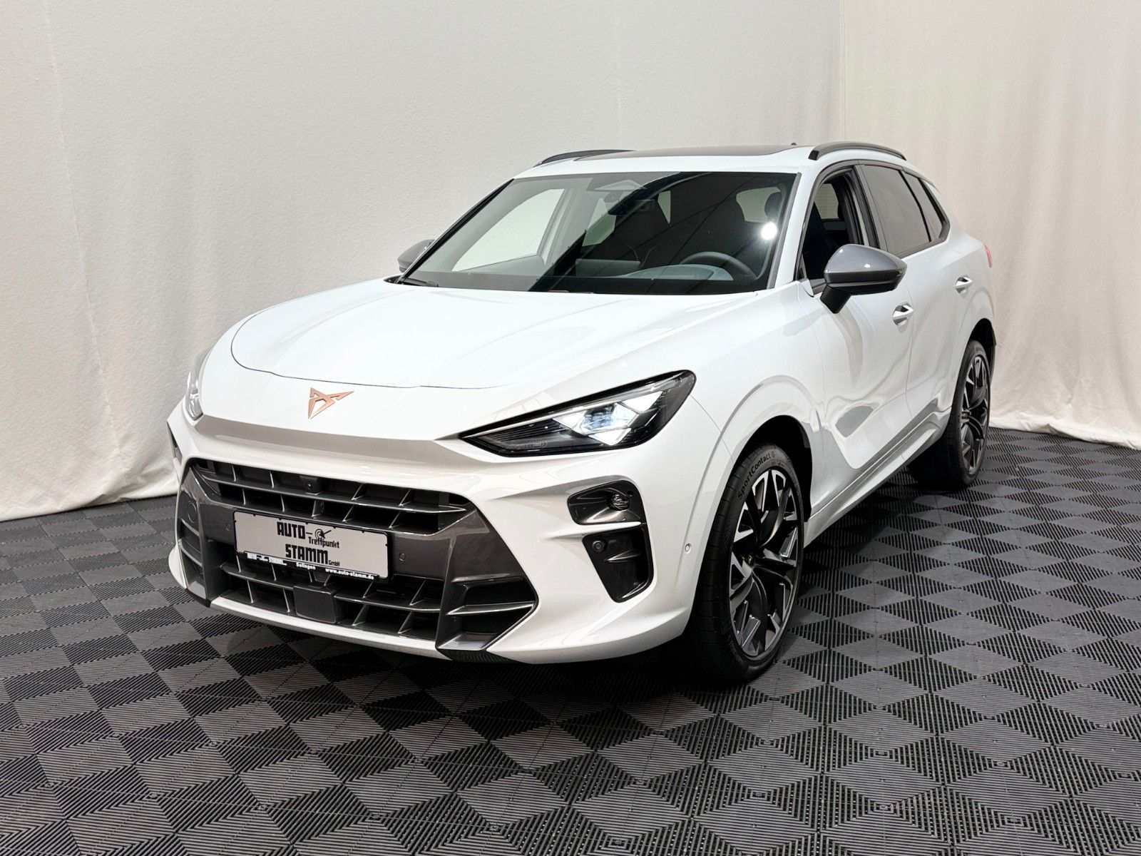 Fahrzeugabbildung CUPRA CUPRA Terramar 2.0TSI DSG 4Drive Navi / Pano