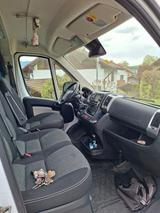 Fiat Ducato  - Fiat WC