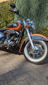 Harley-Davidson Softail Deluxe FLSTN 105 Jahre Jubiläum -Selten- - HARLEY-DAVIDSON FLSTN SOFTAIL DELUXE