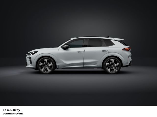 Cupra Terramar - Bild 3