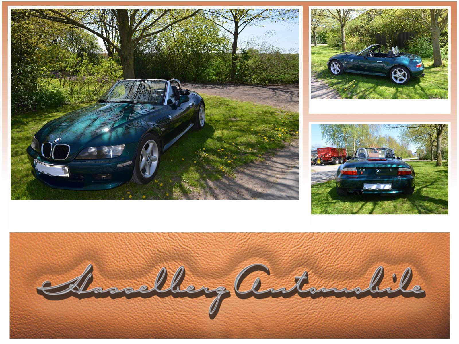 BMW Z3 Roadster 2.8 Hardtop Gepäckbrücke BMW-Koffer