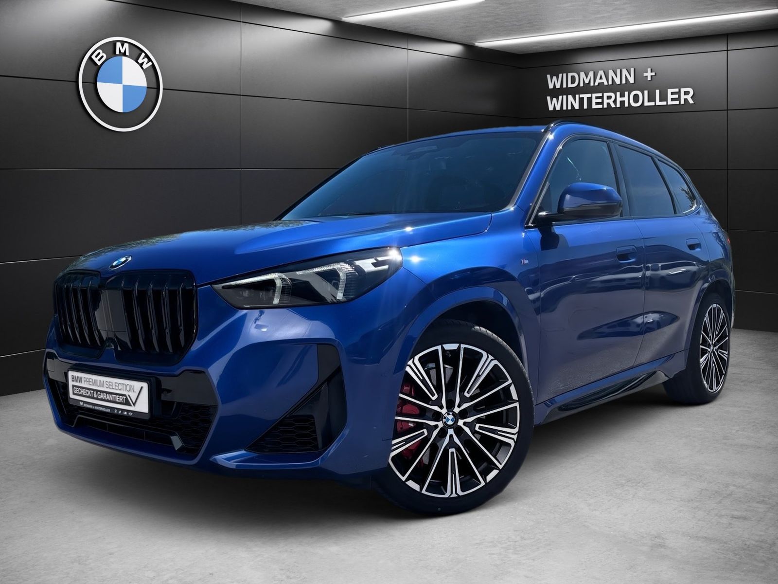 BMW X1 xDrive23i M Sport HUD DA Prof H K AHK PA Pro foto 2