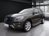 Mercedes-Benz ML 250 BlueTEC 4M PDC SHD SHZ - Mercedes-Benz ML 250 aus 2015