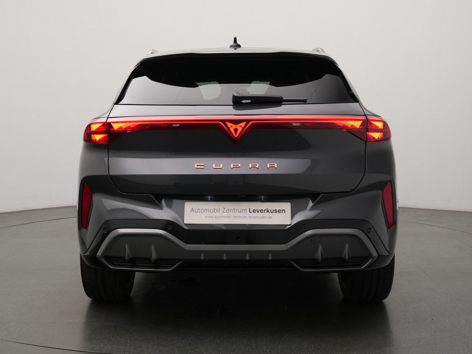 Cupra Terramar - Bild 4