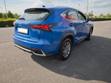 Lexus NX 300h Amazing Edition AHK/ACC/VZE/SHZ/LHZ - Lexus aus 2021