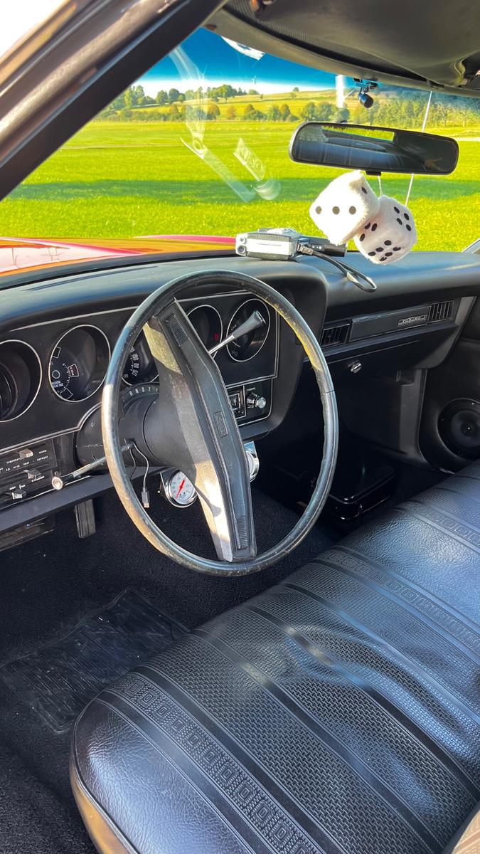 Ford Andere