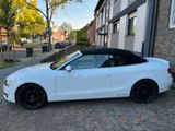 Audi A5 1.8 TFSI multitronic Sportback - - Audi A5 aus 2011: Sportback