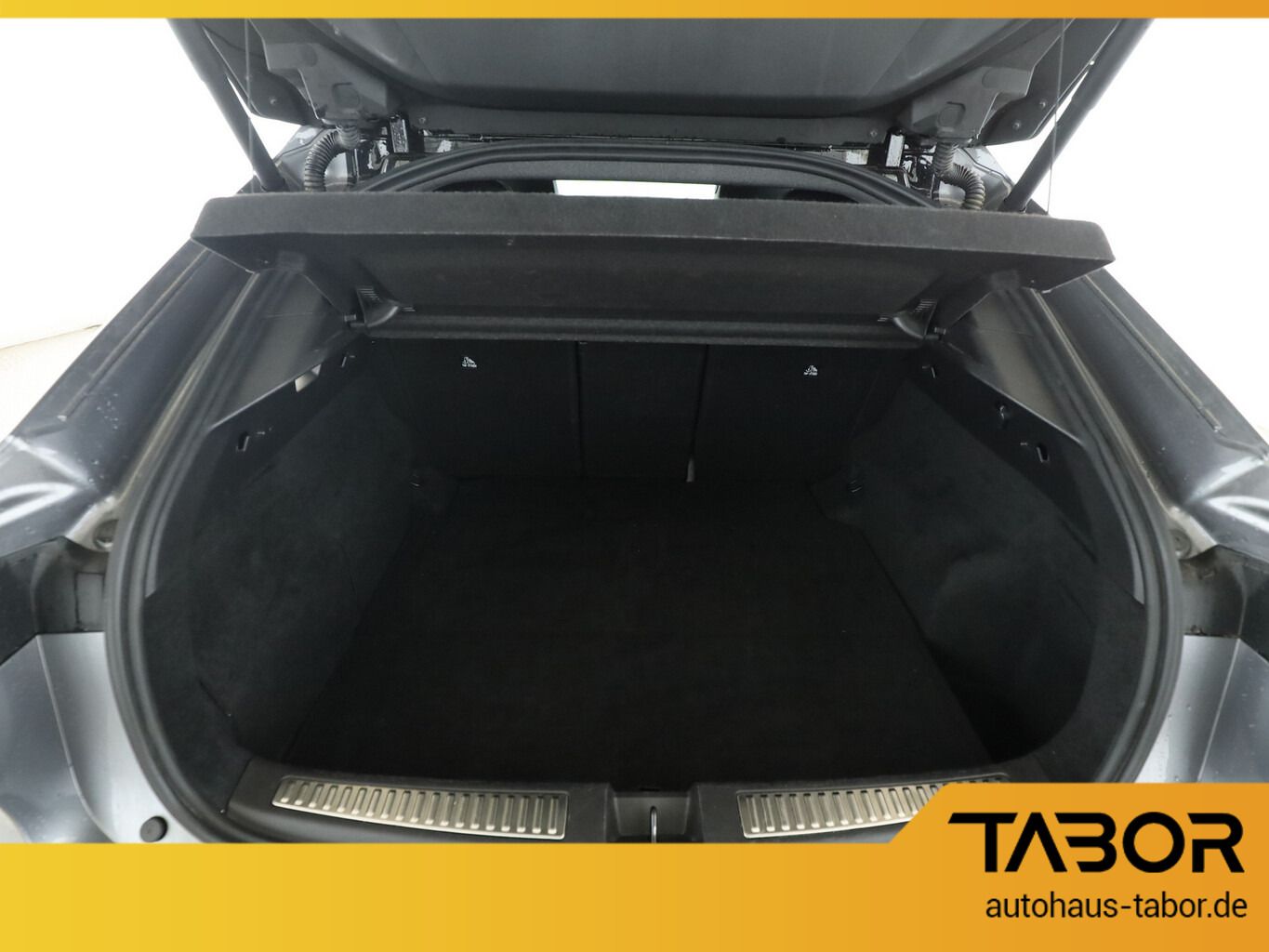 Renault Rafale - Bild 6