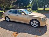 Lexus LS 460 V8 Vollausstattung - Lexus LS 460 Gebrauchtwagen