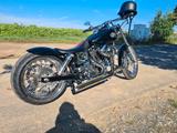 Harley-Davidson Dyna Fxdwg - HARLEY-DAVIDSON FXDWG