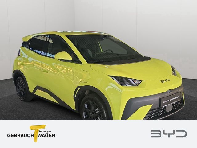 BYD DOLPHIN SURF