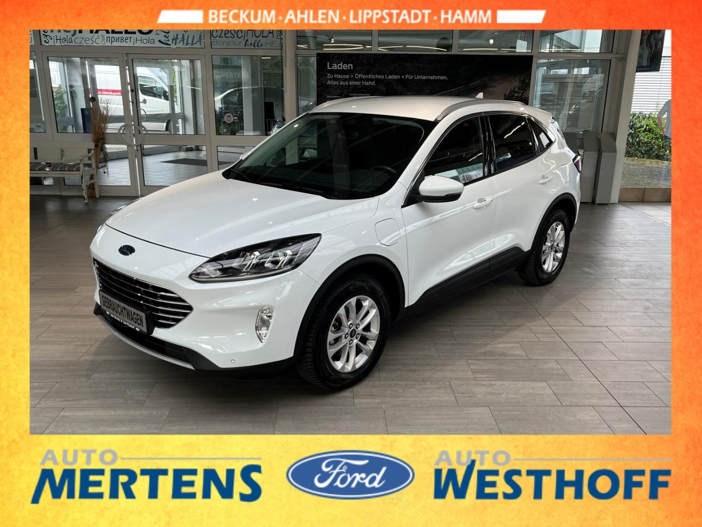 Ford Kuga Titanium 2.5 PHEV AHK + Kamera + Allwetter