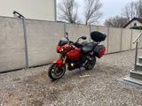 Triumph Tiger 1050 SE - TRIUMPH TIGER 1050 SE