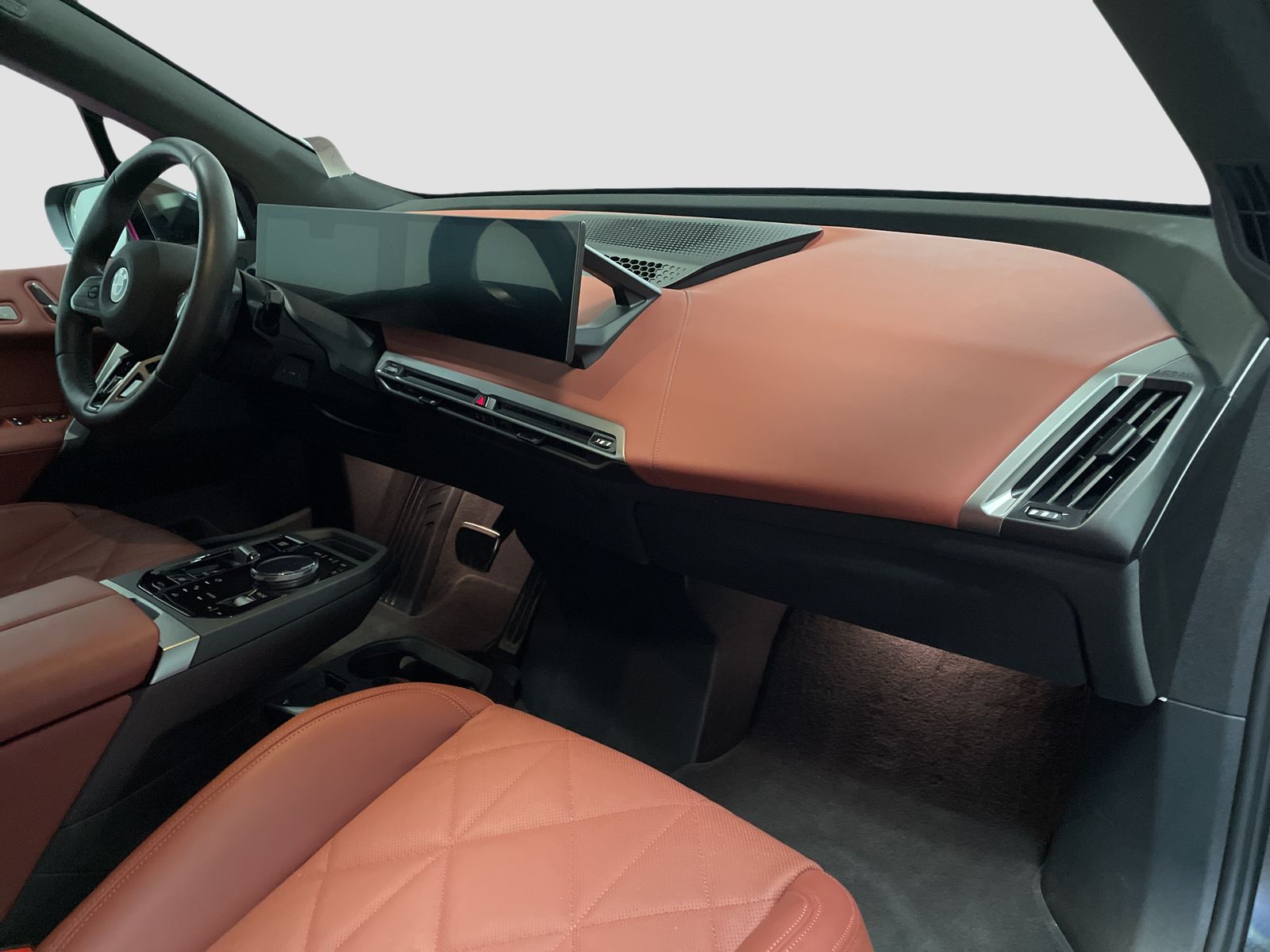 BMW iX - Bild 12