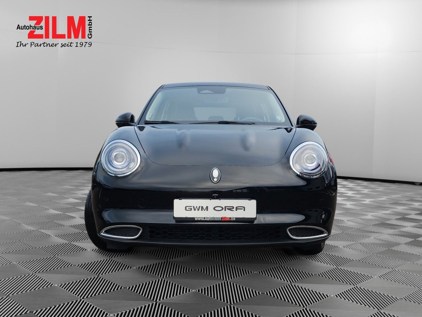 GWM Ora 03 - Bild 3