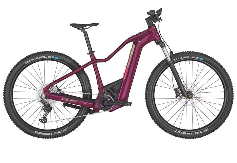 Bergamont E-Revox Pro FMN / M