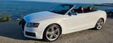 Audi S5 3.0 TFSI S tronic quattro Cabriolet - - Audi S5 aus 2010: Cabrio