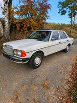 Mercedes-Benz Mercedes W123 240 D Limousine H Kennz *kei... - Mercedes-Benz 240: D