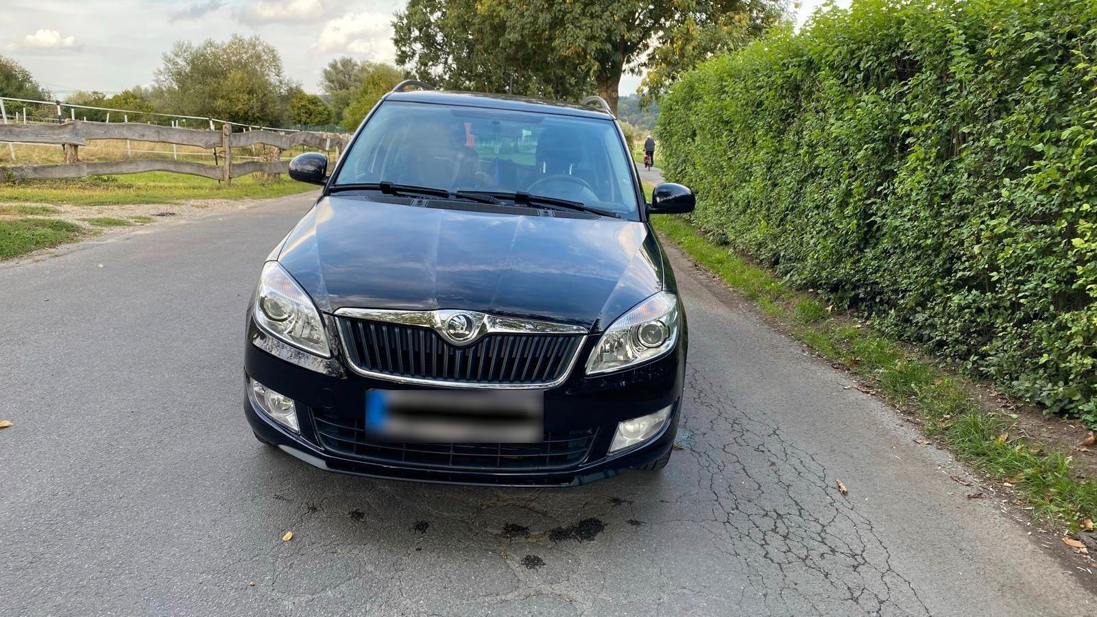 Skoda Fabia 2014 — вигляд ззаду