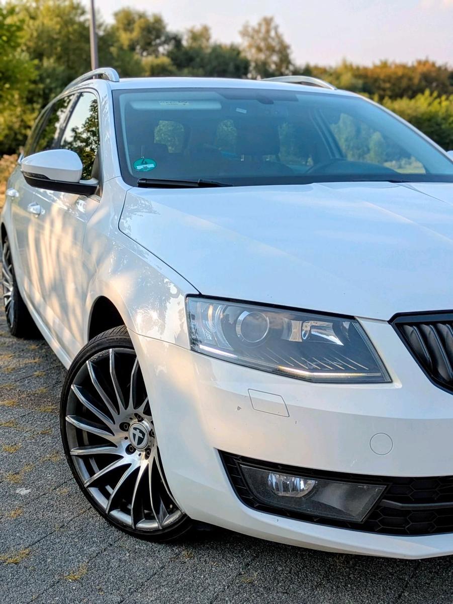 Skoda Octavia 2015 — rear view