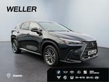 Lexus NX 350h Executive Line *Bi-LED*ACC*360°*el Heck* - Lexus NX-Serie in Wuppertal