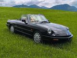 Alfa Romeo Spider 115