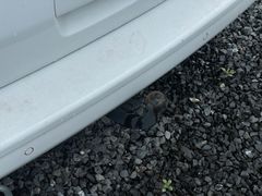 Pössl Campster *180PS*Markise*Kederleiste*AHK