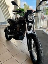 Beta ALP X "LAGERFAHRZEUG" - BETA ALP X