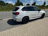 BMW X5 xDrive30d - - BMW X5: Weiß