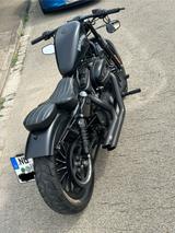 Harley-Davidson sportster 883 iron  - Angebote