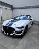 Ford Mustang 2.3 EcoBoost Shelby - Ford Mustang: Roadster, Shelby