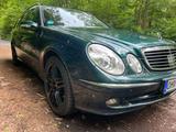Mercedes-Benz E 500 T AVANTGARDE Avantgarde 7 Sitze - Mercedes-Benz E 500 aus 2005