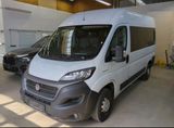Fiat Ducato Kombi 2.3  140 L2H2 Patiententransport - Fiat Ducato: Kombi