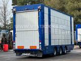 Andere FINKL 3.Stock Tandem-Viehanhänger Hubdach,Tränke - Gebraucht Viehanhänger