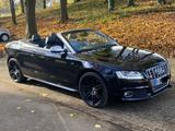 Audi S5 3.0 TFSI S tronic quattro Cabriolet - - Audi S5 in Wuppertal