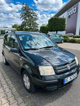 Fiat Panda Benzin - Fiat Panda Gebrauchtwagen in Aachen