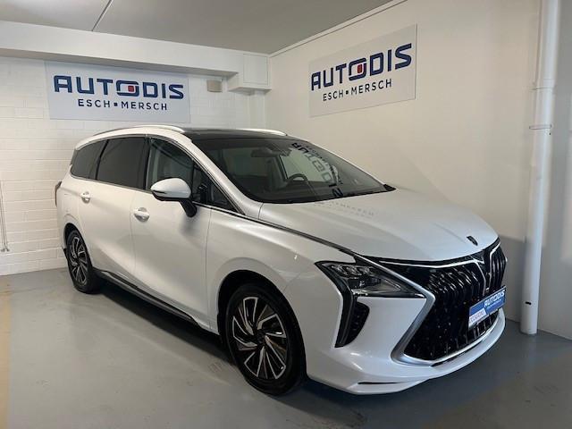 Andere Forthing U-Tour 1.5 T-GDI PREMIUM AUT 7 PLACES
