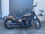 Harley-Davidson Streetbob; 107; M8; erst 10.500km; 1. Hand - CHOPPER 50