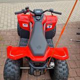 CFMOTO CFORCE 110 - CFMOTO CFORCE 110