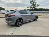 Alfa Romeo Stelvio 2.0 Turbo 16V 206kW Ti AT8-Q4 Ti - Alfa Romeo Stelvio aus 2021