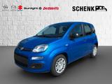 Fiat Pandina 1.0 Hybrid Icon 65PS MY26 - blaue Fiat New Panda