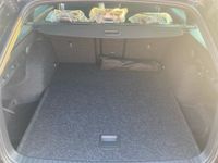 Skoda Octavia - Vorschau Bild 8