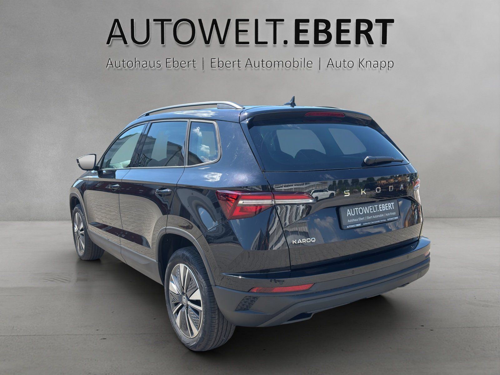 Fahrzeugabbildung SKODA Karoq Balance 1,5 TSI 110 kW DSG MATRIX/RFK/AHK