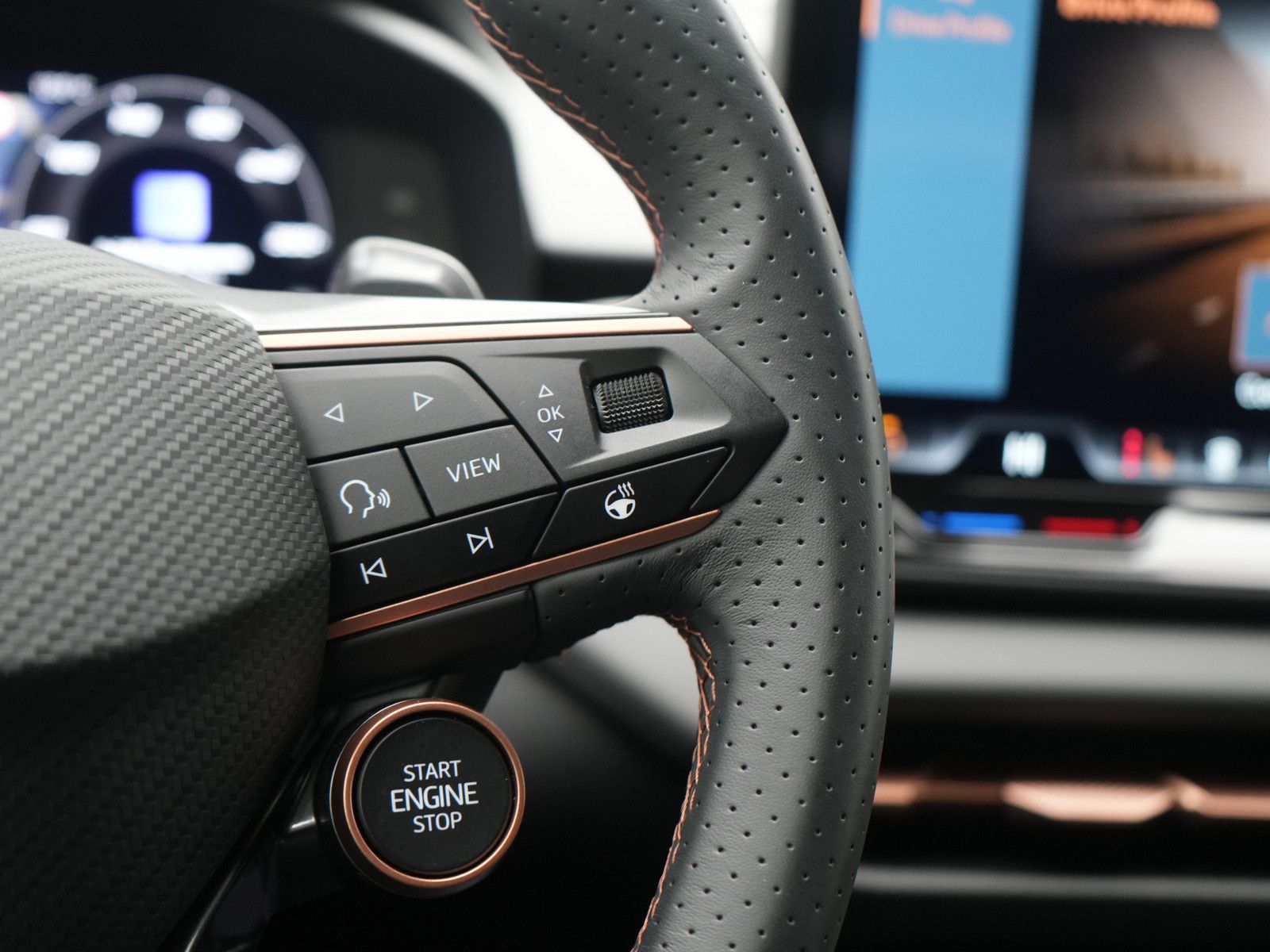 Cupra Terramar - Bild 7