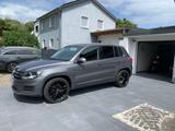 Volkswagen Tiguan 1.4 TSI 4MOTION LIFE Topzustand  - VW Tiguan Life Gebrauchtwagen