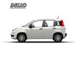 Fiat Panda Gewerbeleasing Klimaanlage Parkpilot ZV - Fiat Panda Neuwagen