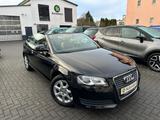 Audi A3 Cabriolet Attraction*SHZ*LEDER*XENON*1.HAND - Audi A3 Gebrauchtwagen in Bonn