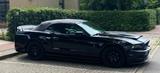 Ford Mustang - Ford Mustang Gebrauchtwagen in Hannover